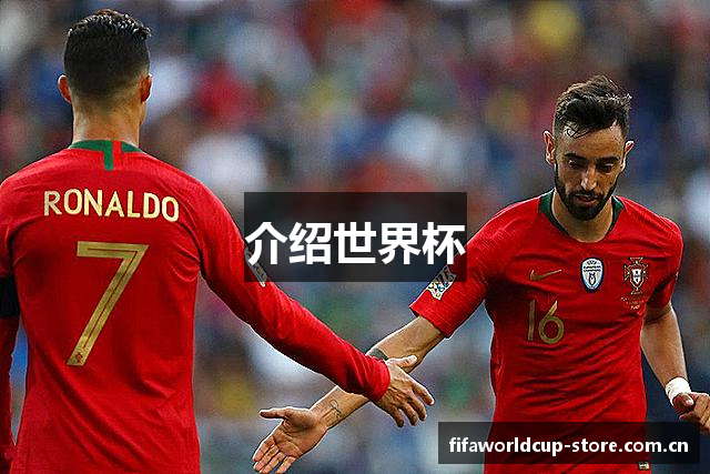 介绍世界杯